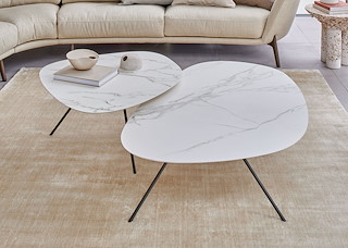 001_Leolux_Liliom_Couchtisch.JPG