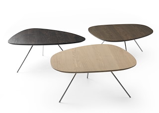 002_Leolux_Liliom_Couchtisch.JPG