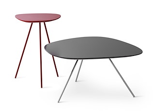 003_Leolux_Liliom_Couchtisch.JPG