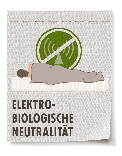 Dormiente Physioform Pro