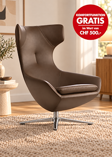 Caruzzo_Sessel_Senso_walnut_Alu__Störer_Ambiente.png
