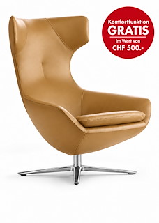 Caruzzo_Sessel_Senso_Amber_Alu.jpg