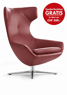 Caruzzo_Sessel_Senso_Brick_Alu.jpg