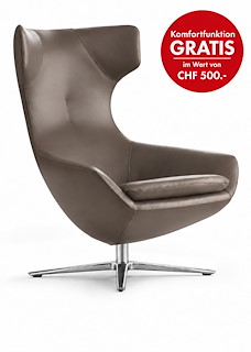 Caruzzo_Sessel_Senso_walnut_Alu.jpg