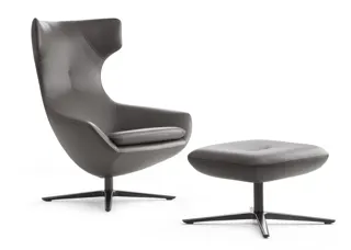 003_Leolux_Caruzzo_Sessel.jpeg