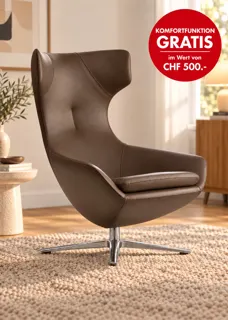 Leolux_Caruzzo_Sessel_Senso_walnut_Alu__Störer_Ambiente.jpg