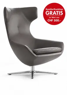 Leolux_Caruzzo_Sessel_Senso_Black_Alu.jpg